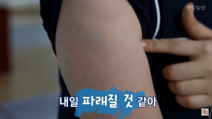 펜싱칼에 맞으면 아플까? - 꾸르