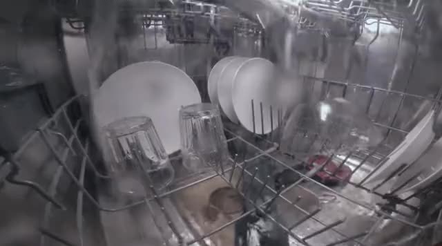 4.gif