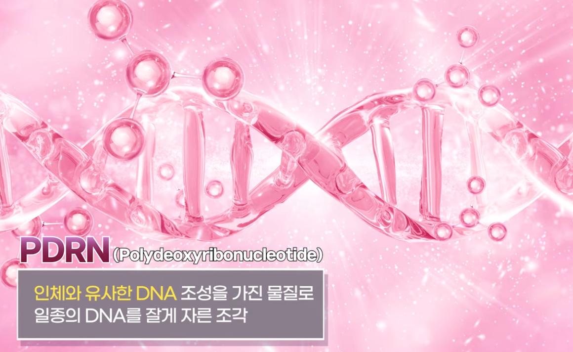 의사가 말하는 바르는 pdrn의 정체 . jpg 3번째 사진