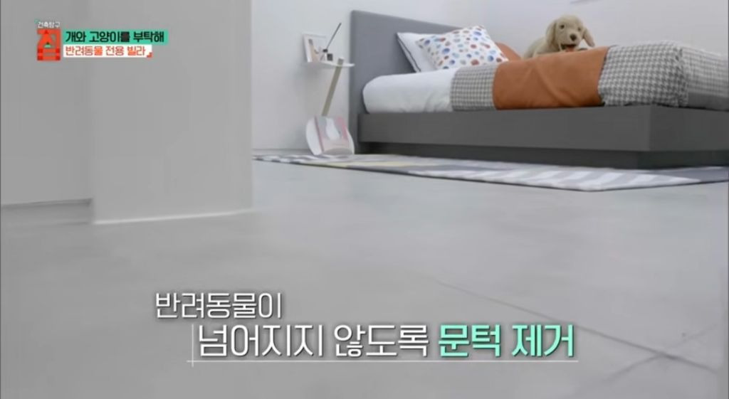 반려동물이 있어야지만 입주할수있는 빌라 17번째 사진