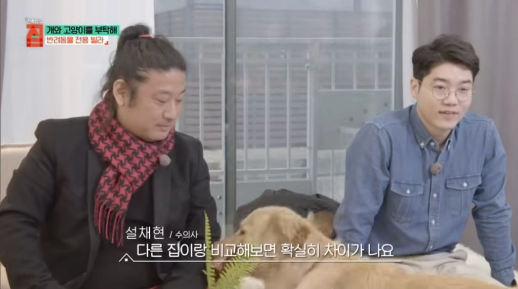 반려동물이 있어야지만 입주할수있는 빌라 19번째 사진