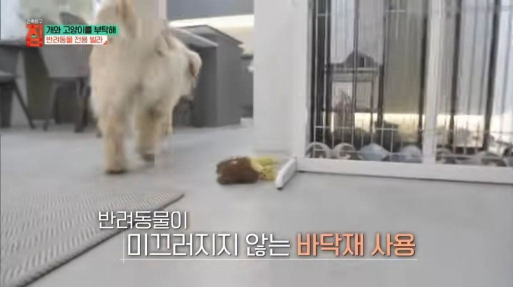 반려동물이 있어야지만 입주할수있는 빌라 18번째 사진