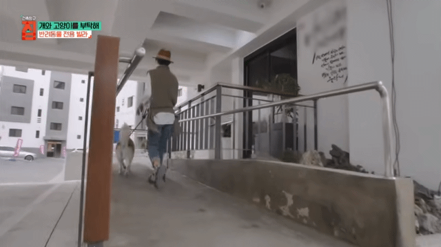 반려동물이 있어야지만 입주할수있는 빌라 3번째 사진