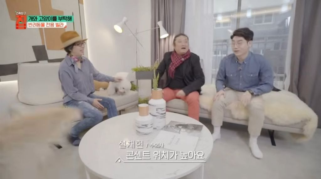 반려동물이 있어야지만 입주할수있는 빌라 25번째 사진