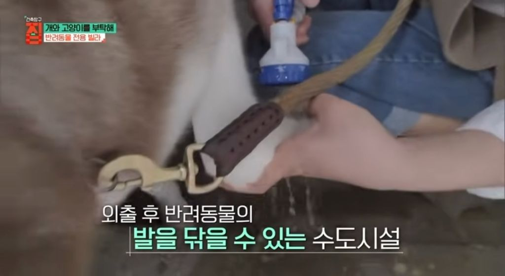 반려동물이 있어야지만 입주할수있는 빌라 4번째 사진