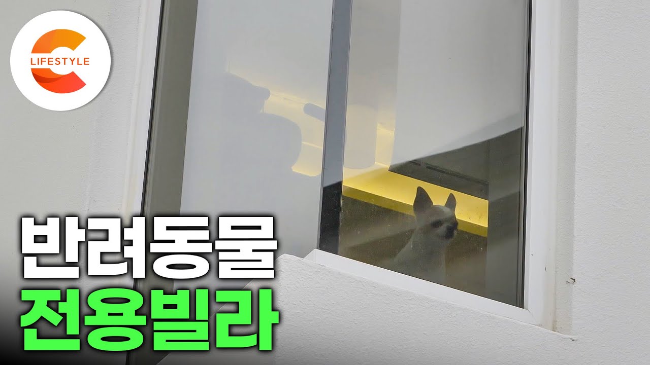 반려동물이 있어야지만 입주할수있는 빌라 39번째 사진