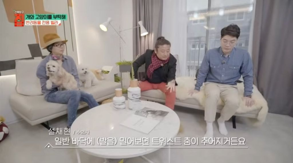 반려동물이 있어야지만 입주할수있는 빌라 24번째 사진