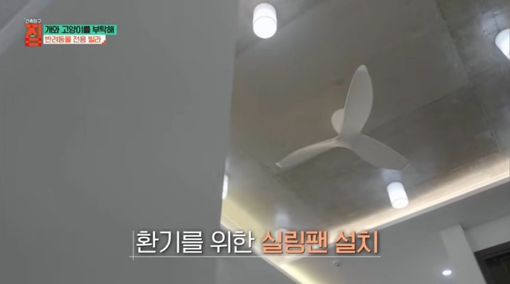 반려동물이 있어야지만 입주할수있는 빌라 15번째 사진