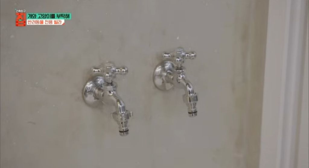 반려동물이 있어야지만 입주할수있는 빌라 31번째 사진