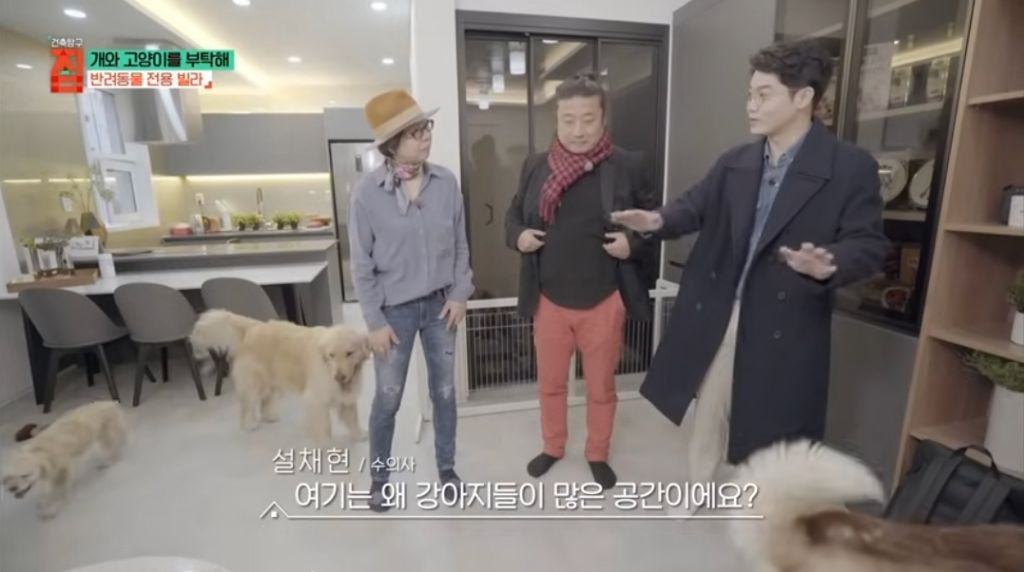 반려동물이 있어야지만 입주할수있는 빌라 9번째 사진