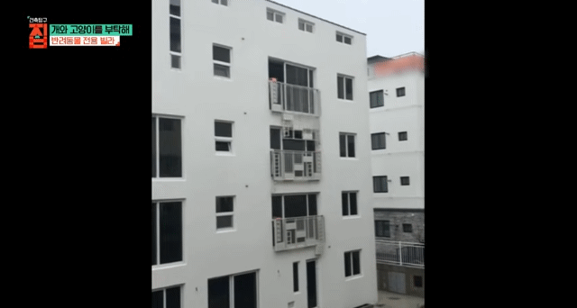 반려동물이 있어야지만 입주할수있는 빌라 35번째 사진