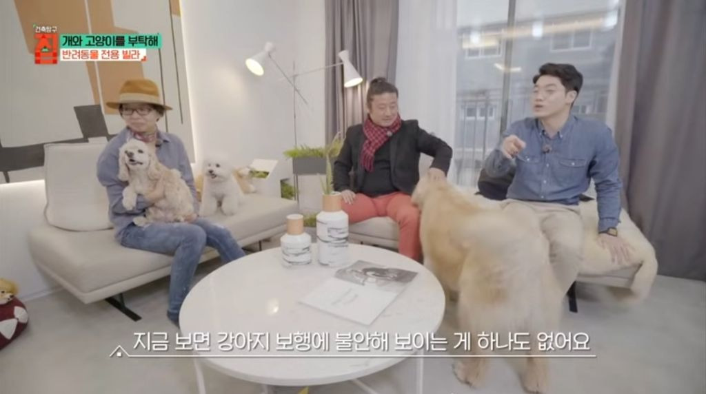 반려동물이 있어야지만 입주할수있는 빌라 20번째 사진