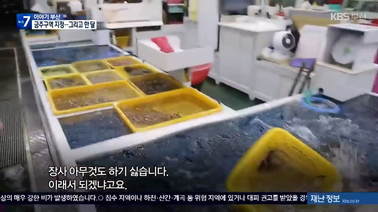 KBS 2023.08.07._20230813_013101.724.jpg 부산 민락수변공원 "매출줄어 행정소송" 하겠다