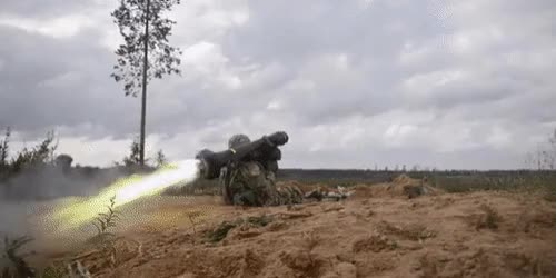 0594 (1).gif