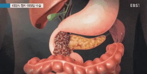 SatisfiedCompetentFlyingfish-size_restricted.gif