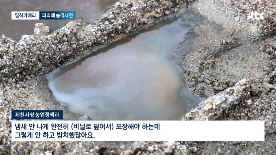 img/23/09/05/18a65a20abb4f2912.png 약혐) 충북 제천 산골마을에 파리 대재앙...\'알고보니 분뇨 700톤 방치\'