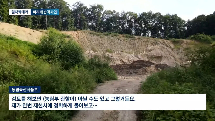 img/23/09/05/18a65a2108a4f2912.png 약혐) 충북 제천 산골마을에 파리 대재앙...\'알고보니 분뇨 700톤 방치\'