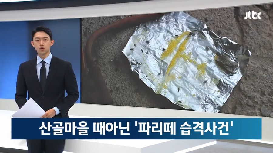 img/23/09/05/18a65a167f14f2912.png 약혐) 충북 제천 산골마을에 파리 대재앙...\'알고보니 분뇨 700톤 방치\'