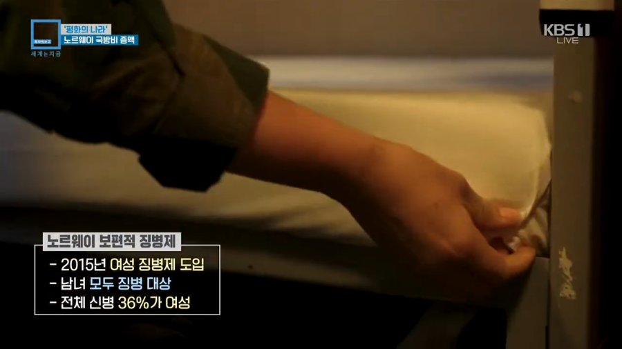 17276195615864.jfif.ren.jpg 노르웨이 남녀 혼숙 생활관 ㄷㄷ