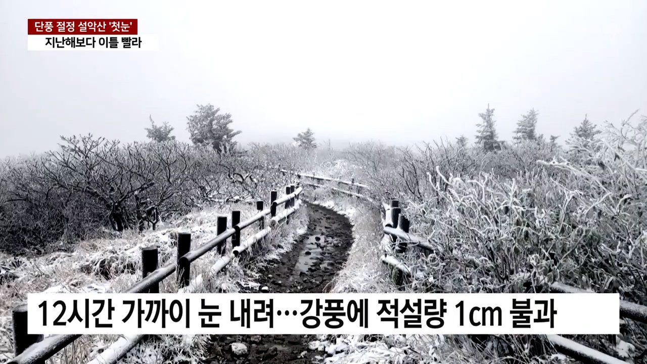 3.jpg 역대급 충격적인 한국의 현재 최저기온