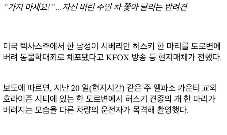 자신 버린 주인 차 쫓아 달리는 반려견 - 꾸르