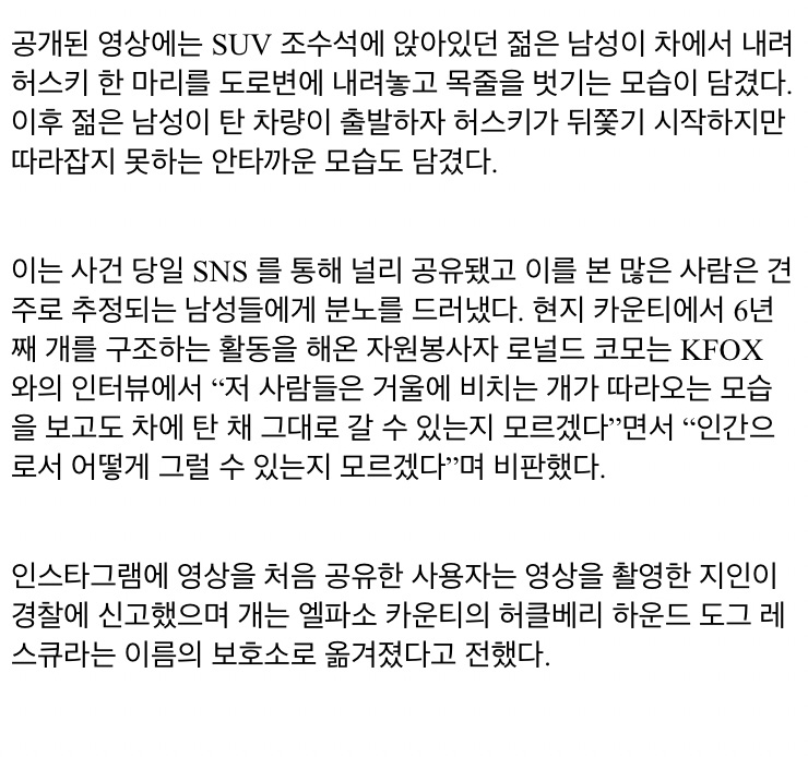 자신 버린 주인 차 쫓아 달리는 반려견 - 꾸르