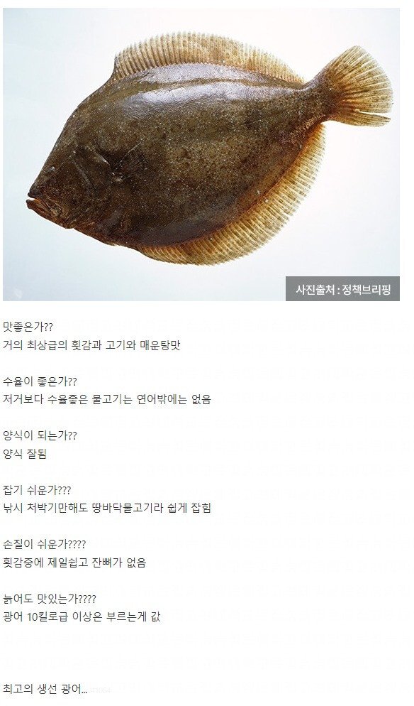 1847ef2332f555d1f.png.ren.jpg