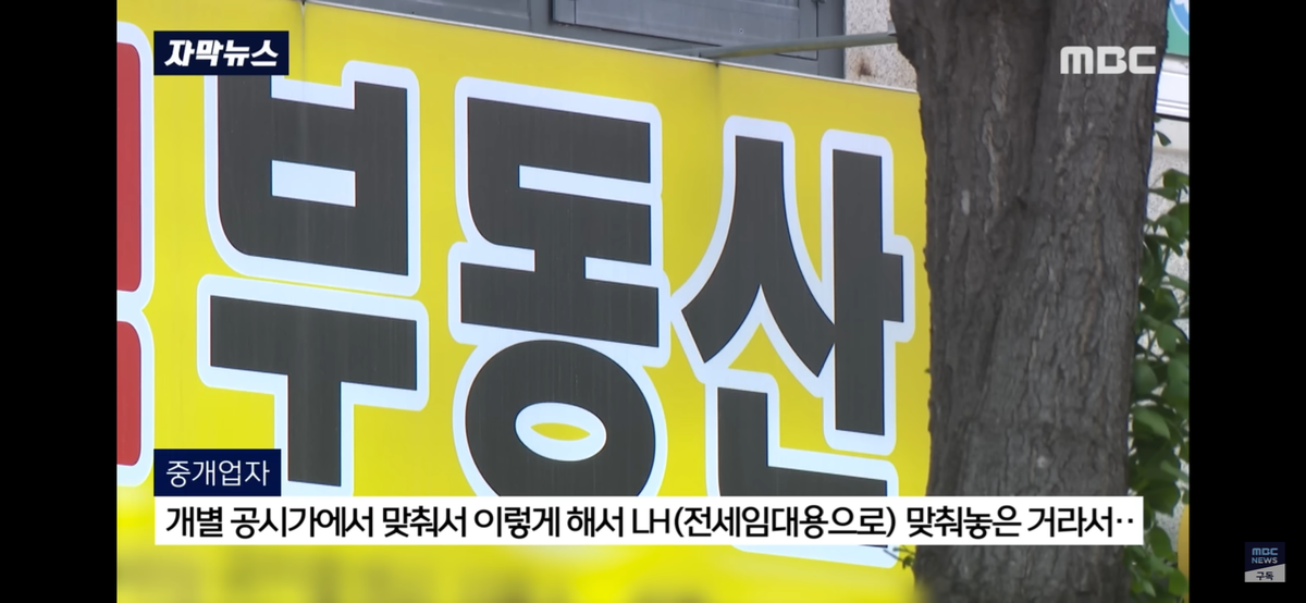 김짤.com_041.png