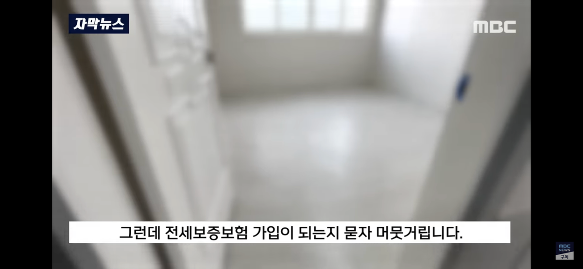 김짤.com_008.png