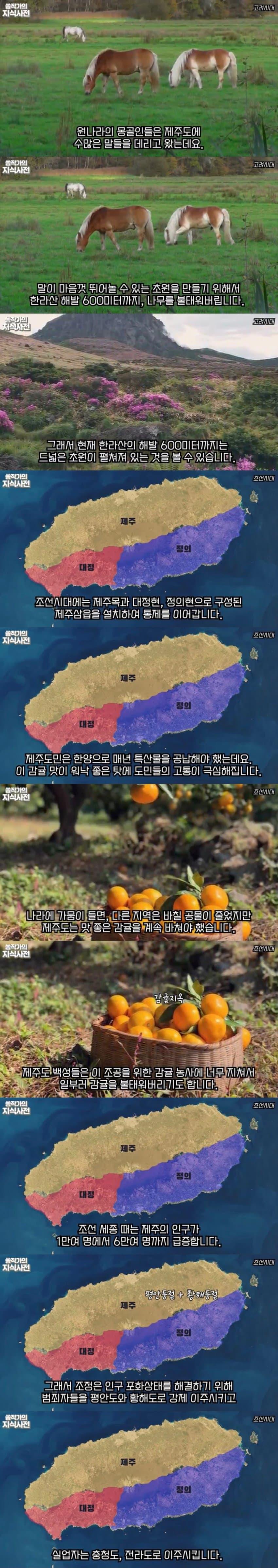 김짤.com_004.jpg