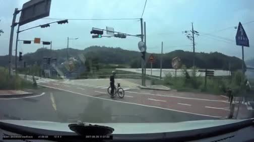 13.gif