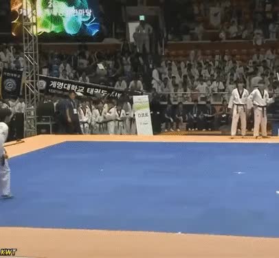 13.gif