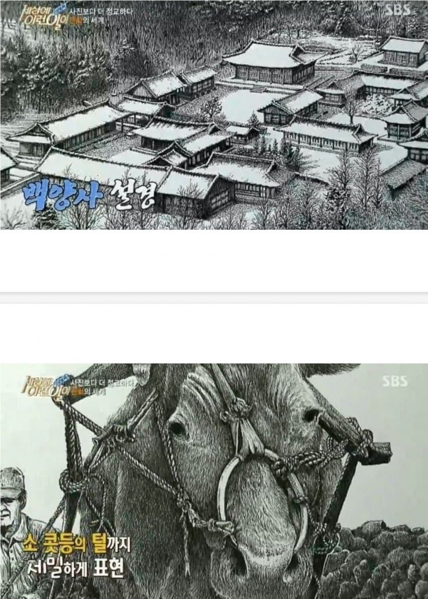 1694187998162.jpg