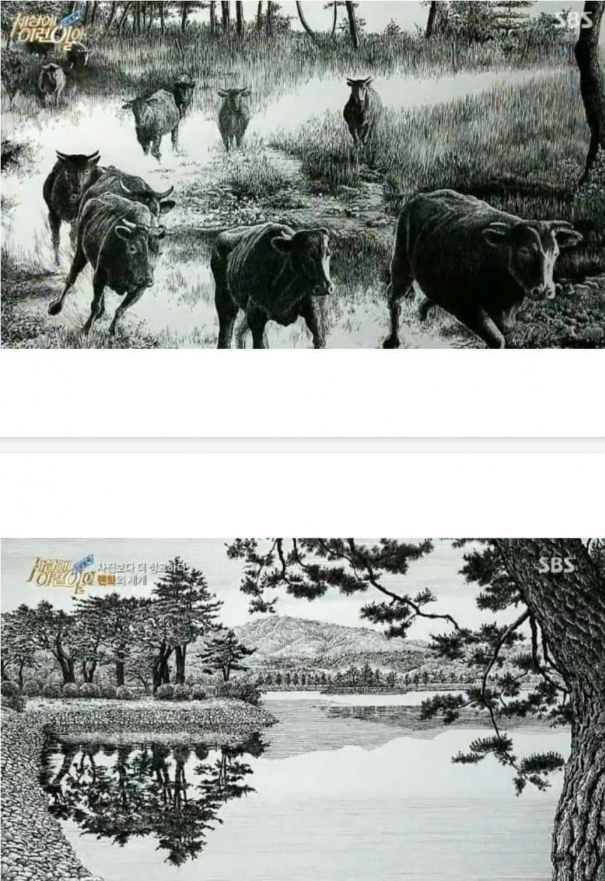 16941879899163.jpg