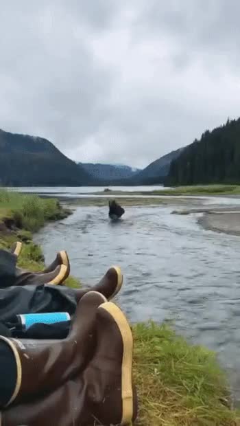 0747260447cbc8bda968fcd4a158f002.gif