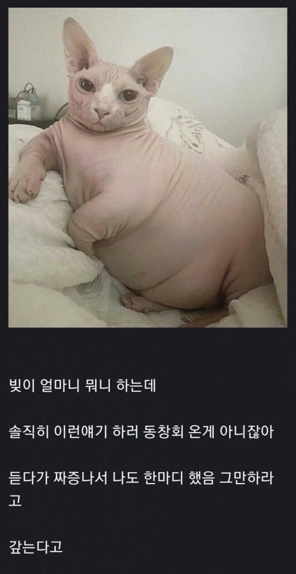 8ddb2ee20a576d05fda8731f542cbc09.jpg