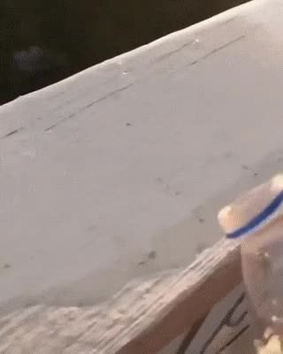 1627689398411.GIF
