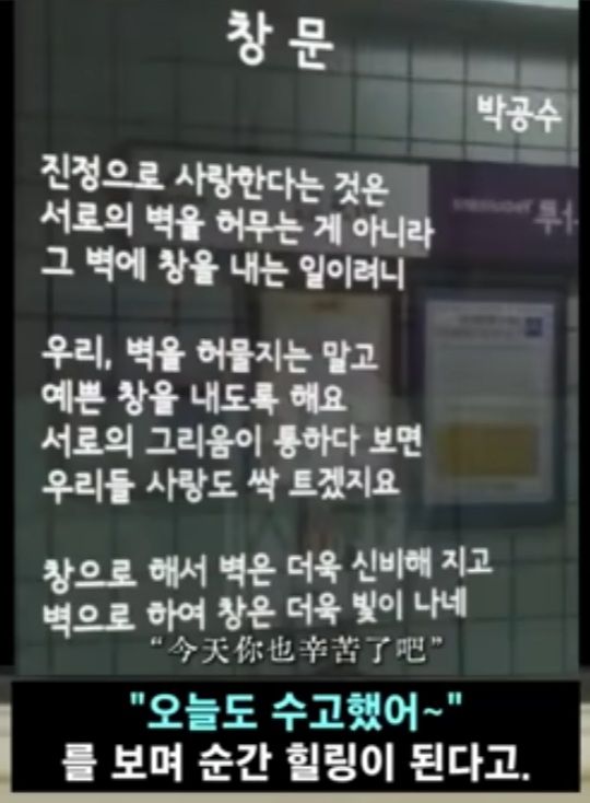 서울병 걸린 중국여 시점 13번째 사진