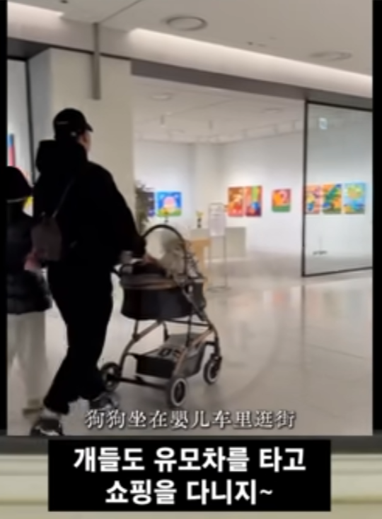 서울병 걸린 중국여 시점 15번째 사진