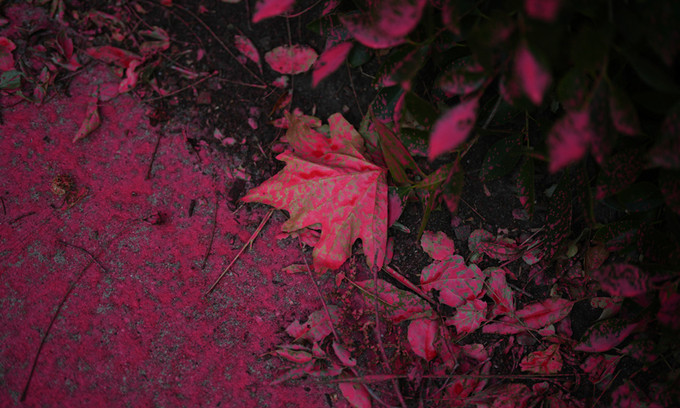 btdd0824d9fca177523f29ea9e11e4f43f.jpg