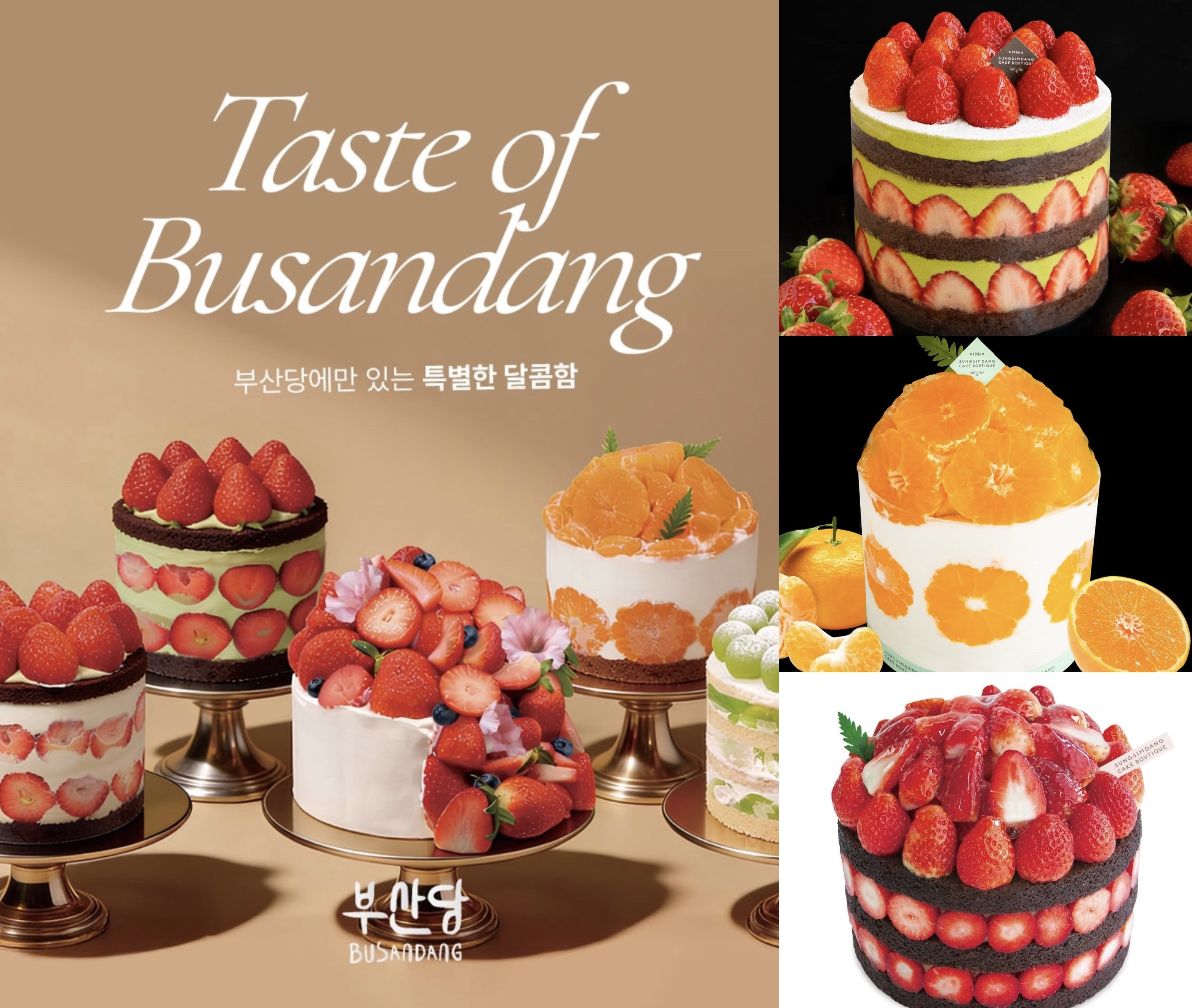 남주는 내려놓으쇼 4번째 사진