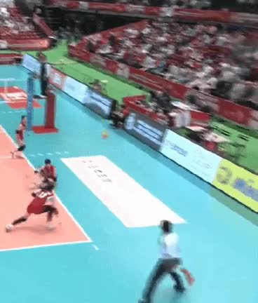 8.gif