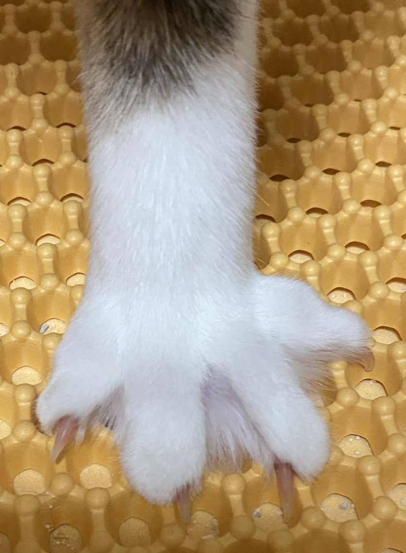 thumb-2728293932_lPRUVk42_f5d9bac8e0eb63255926159c4f400c16244e86ef_835x1136.jpg