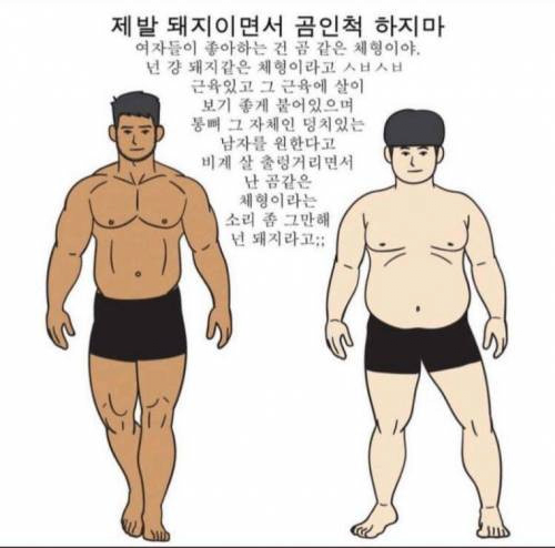 image.png 남자들이 착각한다는 곰같은 남자