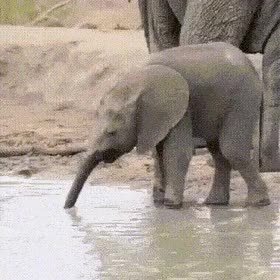 i015644765042.gif