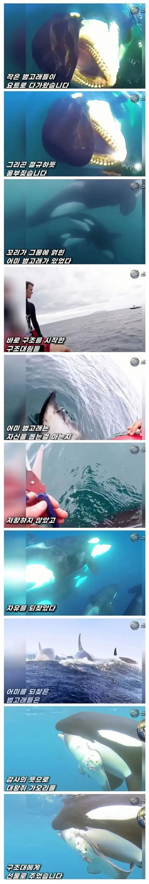 bt1163e8af9892dcd1515ec9d075664e25.png