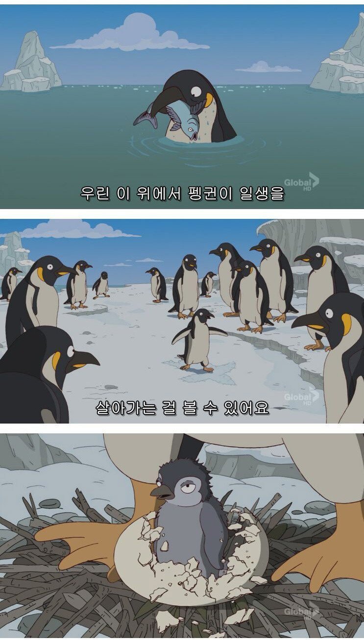 s002.jpg