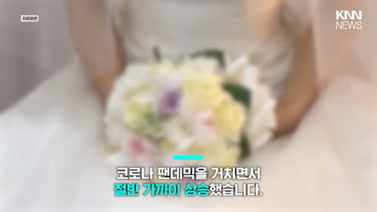 24B9BF4B-0B7D-49FB-8C5D-8C409911685E.png ‘결혼식 생략 해도 된다’ 49.2%