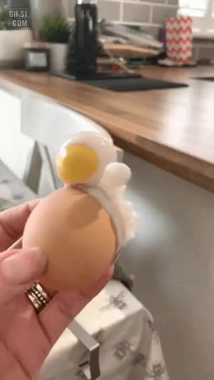1644483448630.gif