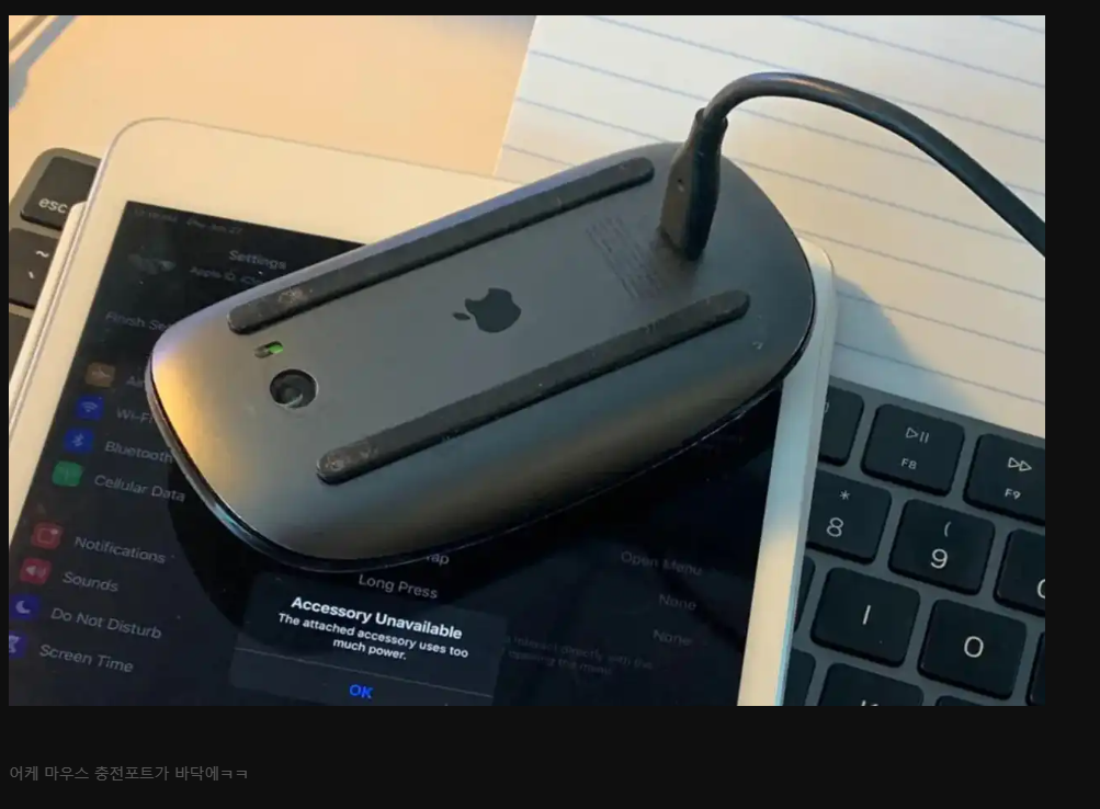 bt204df1ae5a310fb458988b2d8be53751.png